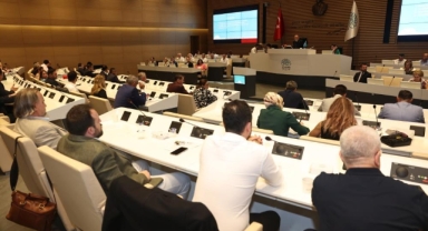Nilüfer'de Sokak Hayvanları Komisyonu kuruldu