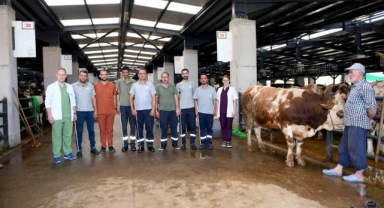 Osmangazi’nin kurban yakalama timi göreve hazır