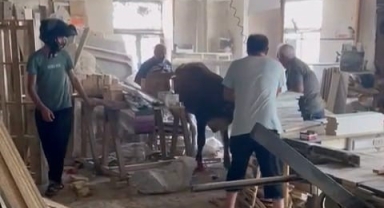 Sahibinden kaçan kurbanlık, sanayiyi birbirine kattı