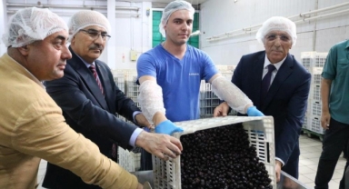 Vali Demirtaş, Marmarabirlik'i ziyaret etti