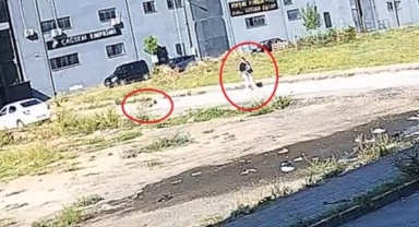 Başıboş köpeğin saldırısından son anda kurtardı