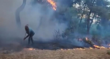 Bursa'da piknik alanında yangın paniği