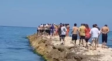 Denizde can pazarı
