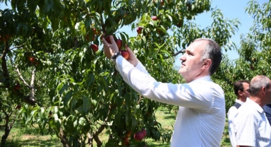İnegöl Tarım Modeli Dünyaya Yayılıyor