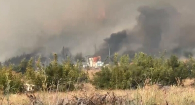 İznik'te orman yangını