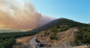 İznik'te orman yangını kontral altına alındı