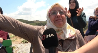 Kesilen yüzlerce ağaca köylüler gözyaşı döktü
