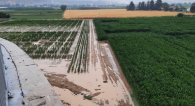 Sağanak yağış Bursa Ovası'nı vurdu