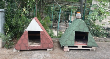 Yavru kedi, polis merkezinin maskotu oldu