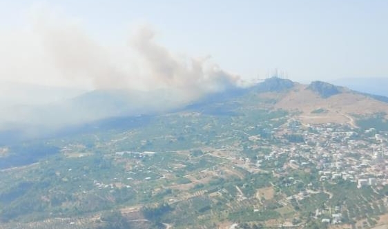 Bursa'da orman yangını