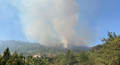 Bursa'daki yangın kısmen kontrol altına alındı