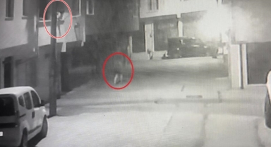 Cezaevinden çıktı 2 günde 6 eve girdi
