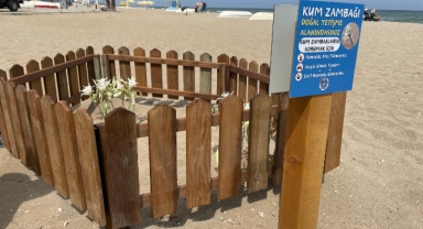 Dikkat! Bursa sahillerinde koruma altında