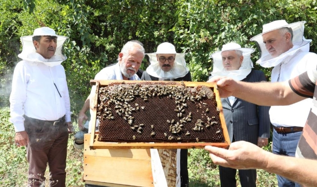 İnegöl bal üretiminde vites yükseltti