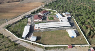 İnegöl'de 266 can dostu yeni yuvasına kavuştu