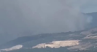 İznik'te korkutan orman yangını