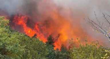 İznik'teki yangın 12 saat sonra kontrol altına alındı