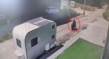 Kolundaki dövmesi motosiklet faresini ele verdi
