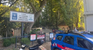 Mangal yakanlara ceza yağıyor
