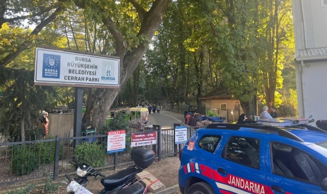 Mangal yakanlara ceza yağıyor