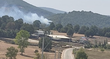 Mustafakemalpaşa'da orman yangını kontrol altına alındı