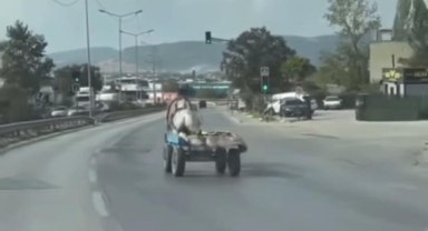Başıboş at arabasının tehlikeli anları kamerada