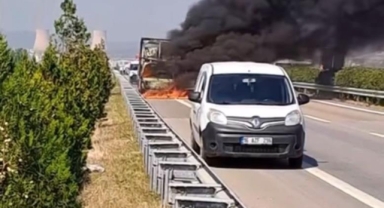 Bursa'da kamyonet alevlere teslim oldu