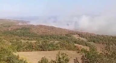 İznik'te orman yangını