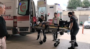 Kazada ağır yaralanan kadın hayatını kaybetti