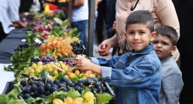Osmangazi’nin en güzel üzümleri seçildi