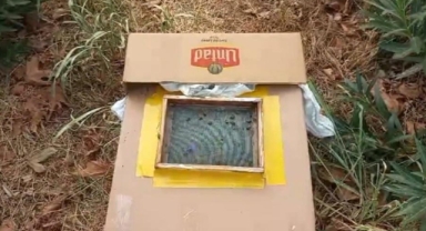Sabah sporu yaparken ağaçta servet buldu