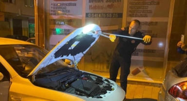 Seyir halindeki aracın kaputundan yılan çıktı