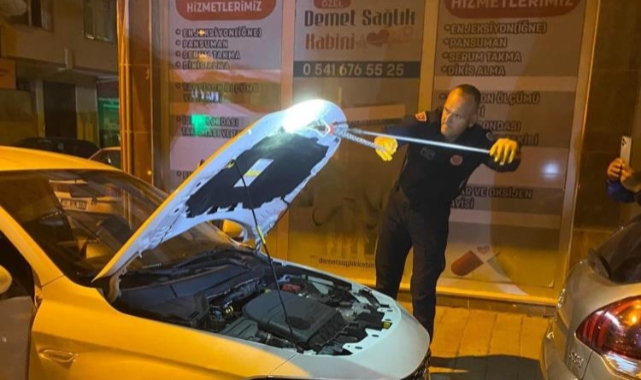 Seyir halindeki aracın kaputundan yılan çıktı