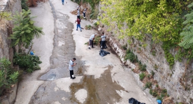 Temiz çevre için güç birliği