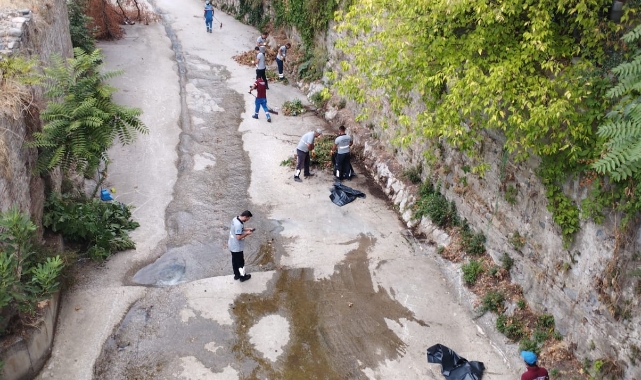Temiz çevre için güç birliği