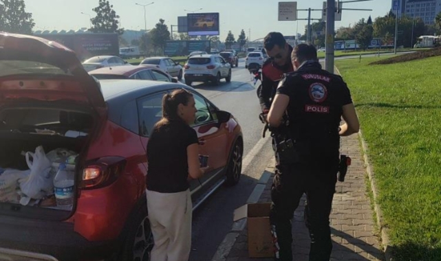 Trafik'te yavru kedi alarmı