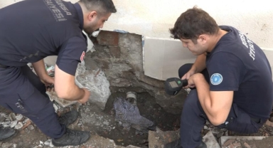 Yavru kedi 7 saatlik operasyonla kurtarıldı