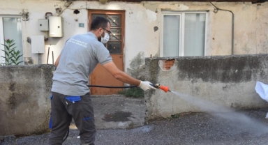 Yıldırım'da ilaçlama çalışmaları devam ediyor