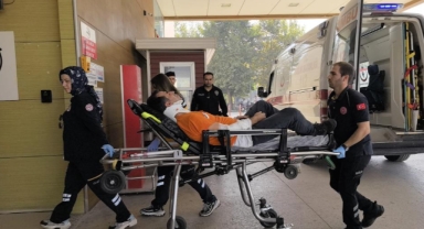 Aynı ağaçtan düşen amca ve yeğen yaralandı