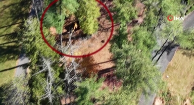 FETÖ elebaşının çiftliğine cenaze için iş makinası getirildi