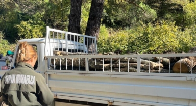 Ormanda mobil kontrol noktalarıyla şok denetimler