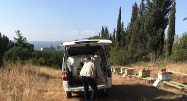 Üniversitenin zarar gören arı kovanları üretici desteğiyle yenilendi