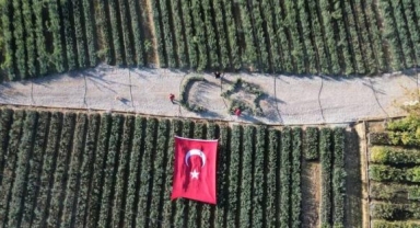 Zeytin fidanlarıyla Türk Bayrağı'nı oluşturdu