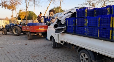 Bursa'da zeytin üreticilerinin Tarım Kredi çilesi