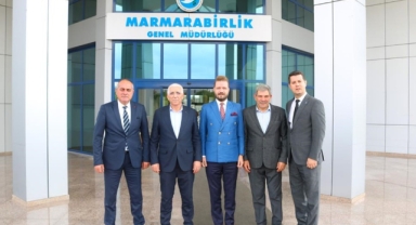 Büyükşehir Belediyesi’nden zeytin üreticisine destek