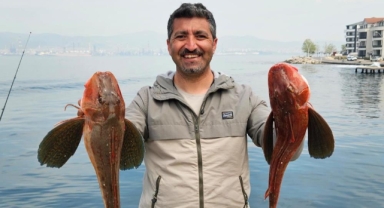 1 saatte 6,5 kilo ağırlığında 2 kırlangıç yakaladı