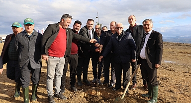 Büyükşehir'den şehit öğretmen anısına hatıra ormanı