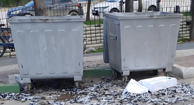 Çevre düşmanı, bozuk balıkları yola döktü