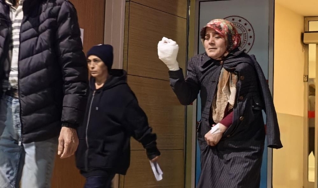 Elini yem karma makinesine kaptırdı