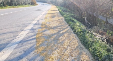 Kilolarca fasulye yola saçıldı